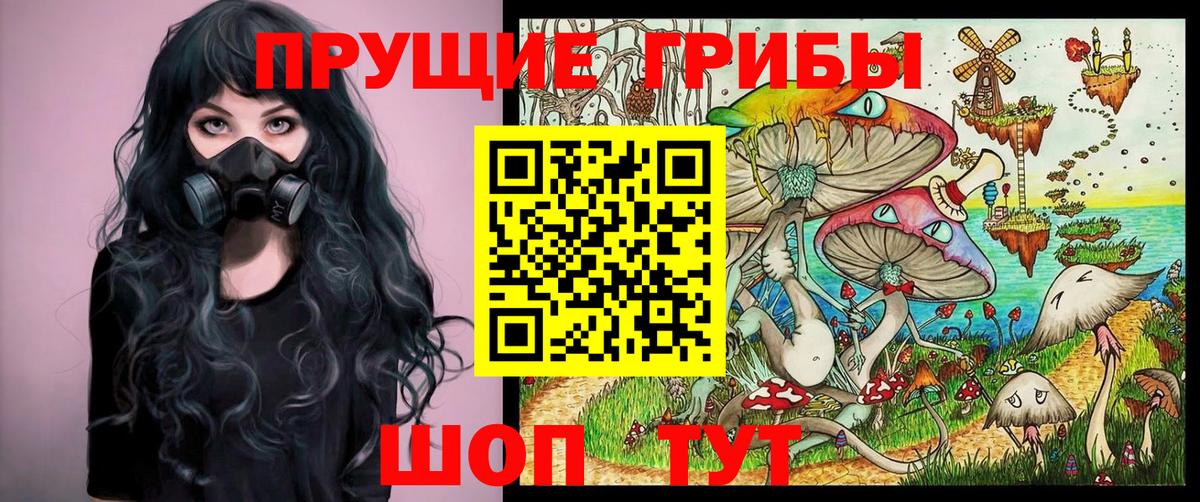Асино  Псилоцибиновые грибы Psilocybine cubensis  Вход с VPN 