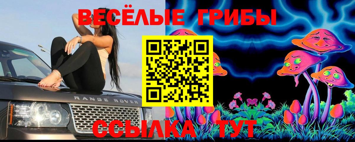 Псилоцибиновые грибы Cubensis Асино
